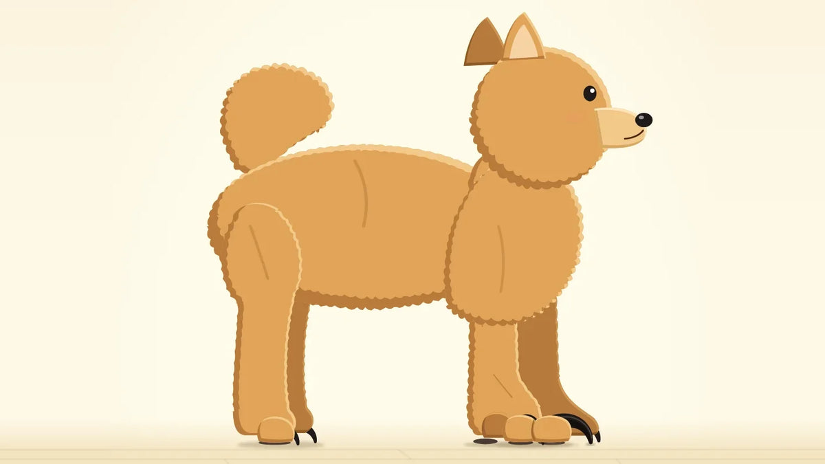 Ilustración de un perro pomerania parado, con las uñas negras largas