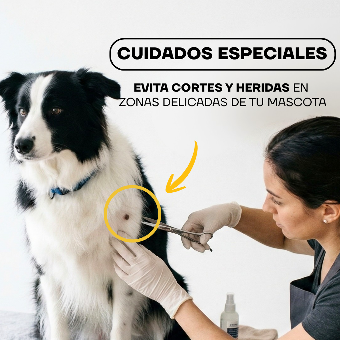 Cortapelos Inalámbrico para Perros y Gatos | LILIPROPET PT305