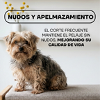 Cortapelos Inalámbrico para Perros y Gatos | LILIPROPET PT305