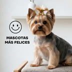 Cortapelos Inalámbrico para Perros y Gatos | LILIPROPET PT305