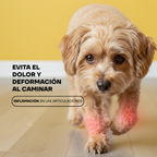 Lima de Uñas Eléctricas para Perros y Gatos con Luz LED | LILIPROPET PG100