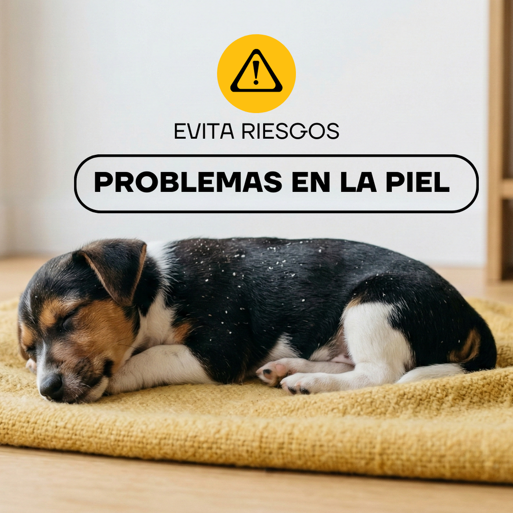 Cortapelos Inalámbrico para Perros y Gatos | LILIPROPET PT305