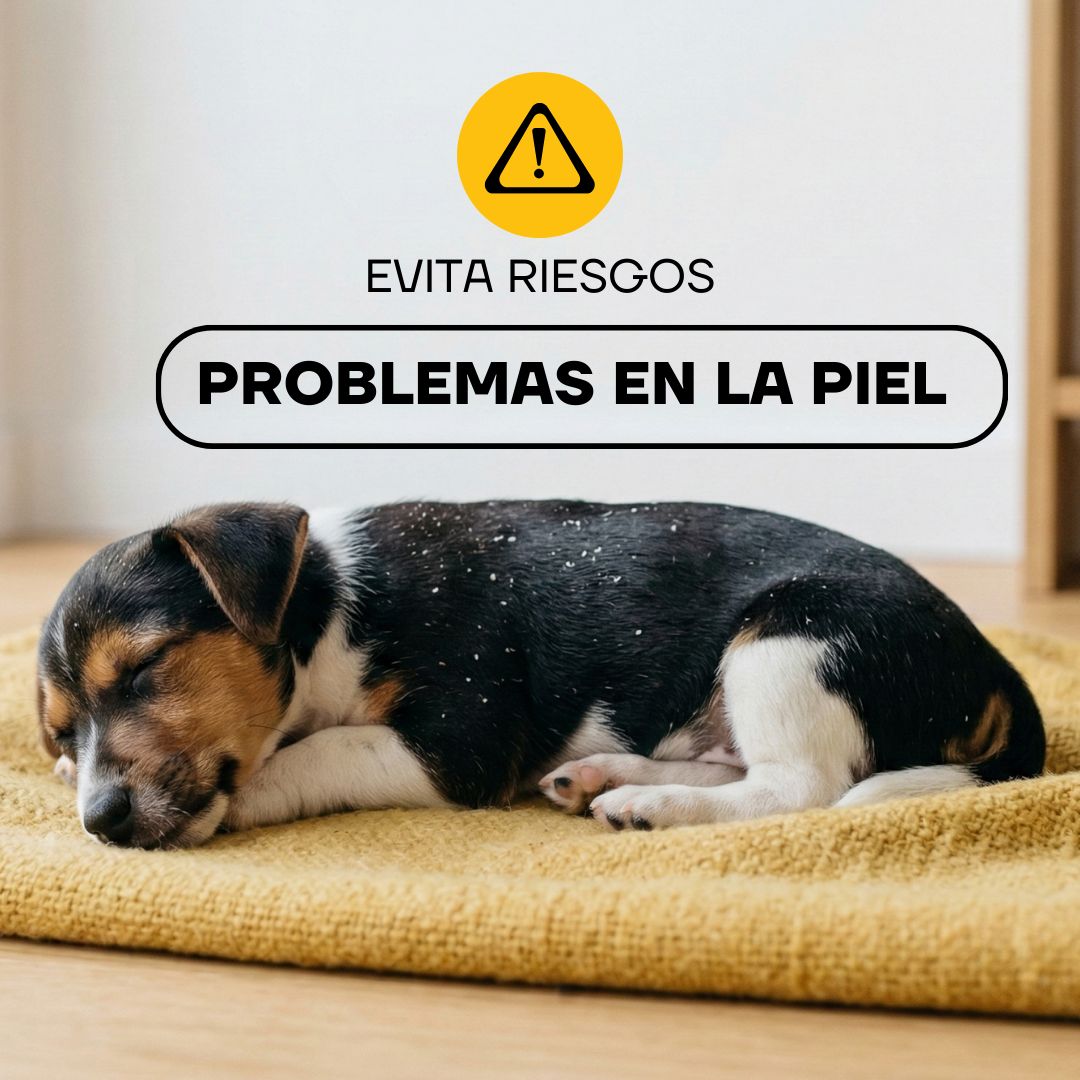 Cortapelos Inalámbrico para Perros y Gatos | LILIPROPET PT305