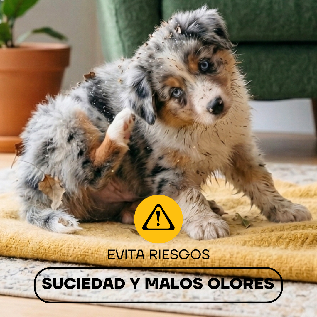 Cortapelos Inalámbrico para Perros y Gatos | LILIPROPET PT305