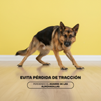 Lima de Uñas Eléctricas para Perros y Gatos con Luz LED | LILIPROPET PG100