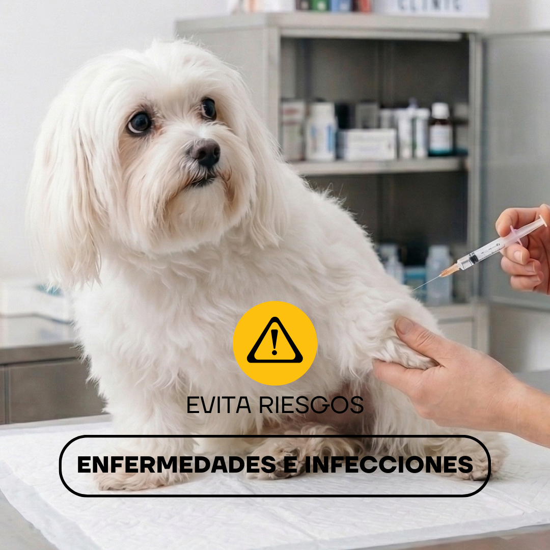 Cortapelos Inalámbrico para Perros y Gatos | LILIPROPET PT305