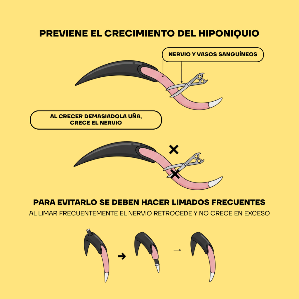 Lima de Uñas Eléctricas para Perros y Gatos con Luz LED | LILIPROPET PG100