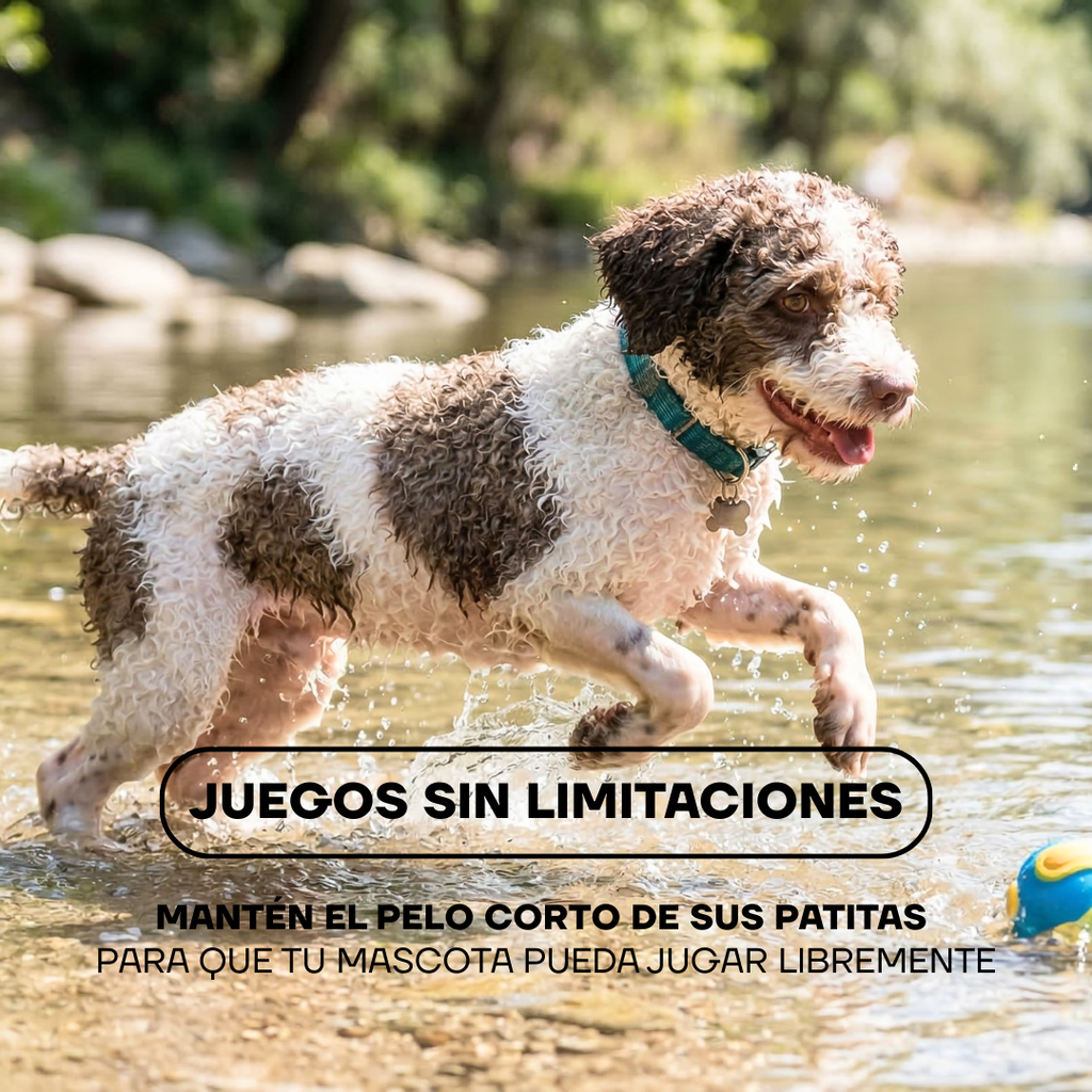 Recortadora de Pelo para Patas con LED y 2 Velocidades para Perros y Gatos | LILIPROPET PT209L