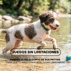 Recortadora de Pelo para Patas con LED y 2 Velocidades para Perros y Gatos | LILIPROPET PT209L