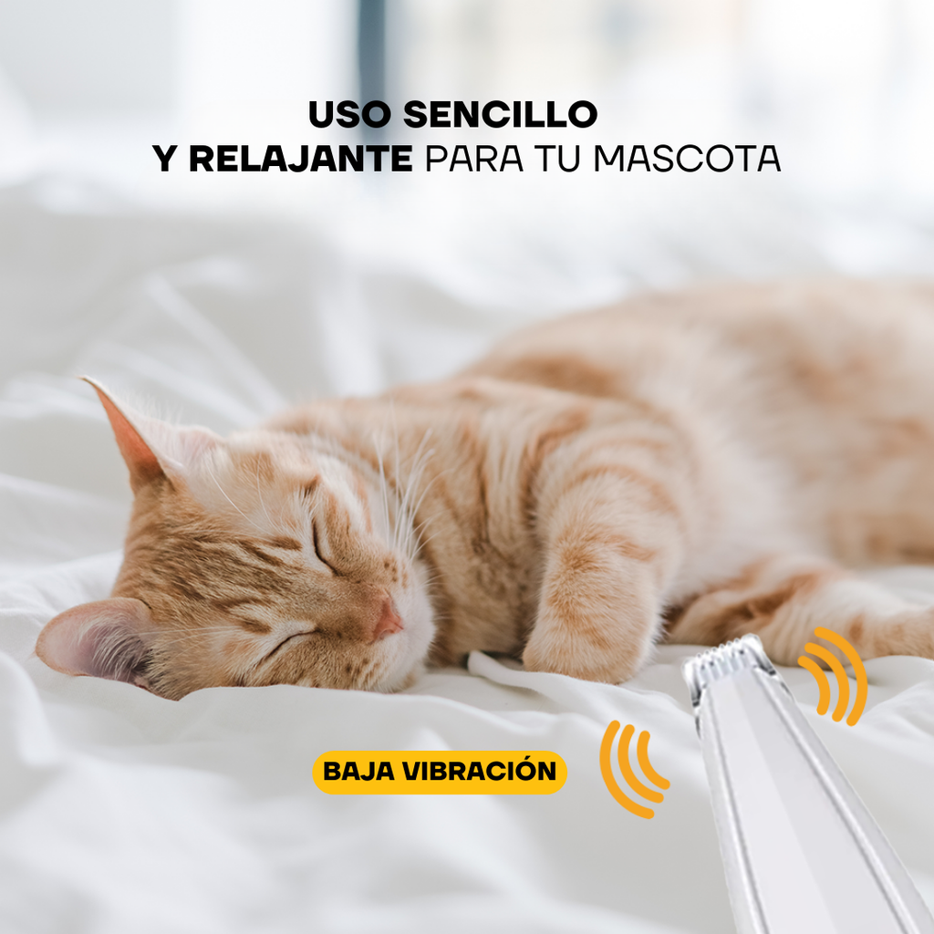 Recortadora de Pelo para Patas Inalámbrica para Perros y Gatos | LILIPROPET PT202