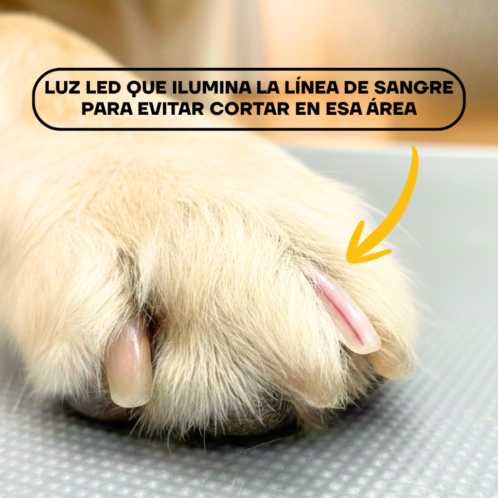 Lima de Uñas Profesional Eléctrica para Perros y Gatos con Pantalla LED | LILIPROPET PG102