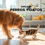 Lima de Uñas Profesional Eléctrica para Perros y Gatos con Pantalla LED | LILIPROPET PG102