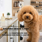 Cortapelos Inalámbrico para Perros y Gatos | LILIPROPET PT305