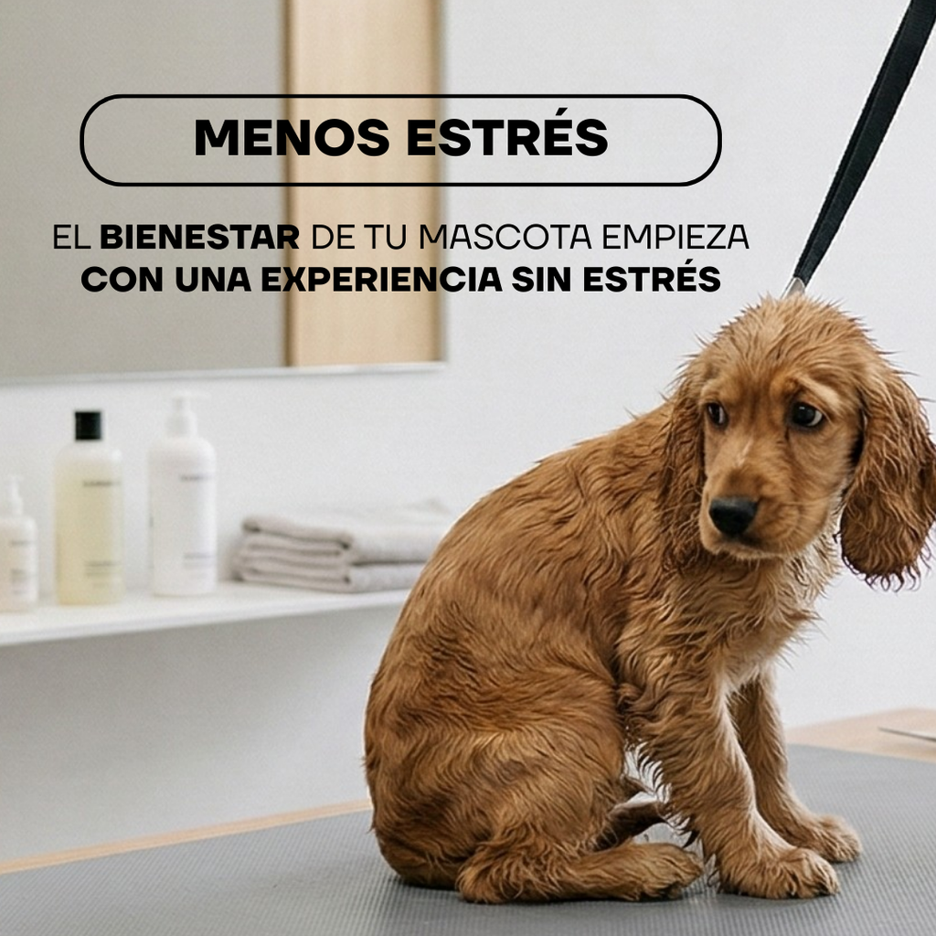 Cortapelos Inalámbrico para Perros y Gatos | LILIPROPET PT305