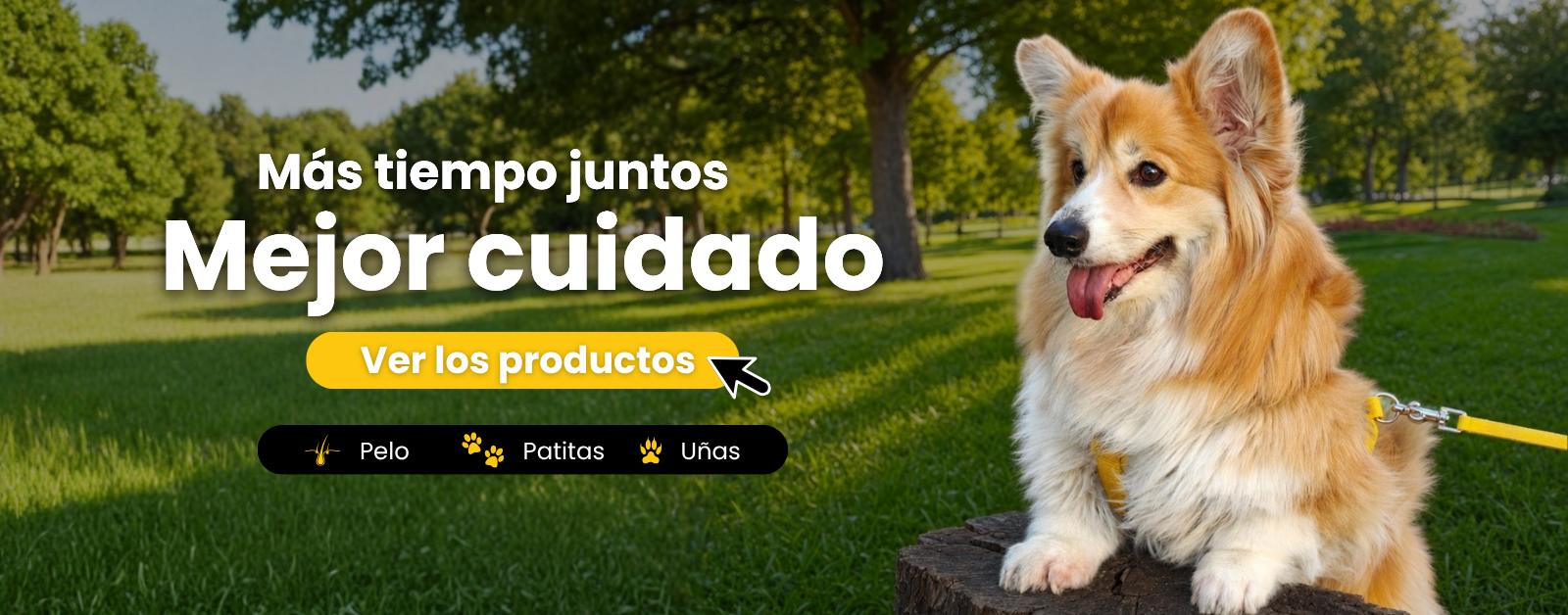 Corgi feliz en un parque con correa LILIPRO PET — Más tiempo juntos, mejor cuidado