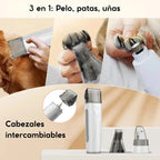 3 en 1 para Perros y Gatos | Aspiradora y Secador de Pelo | PD900