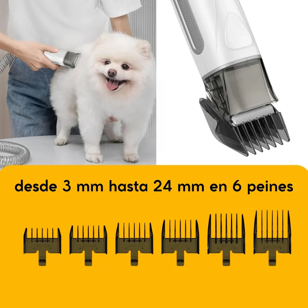 3 en 1 para Perros y Gatos | Aspiradora y Secador de Pelo | PD900