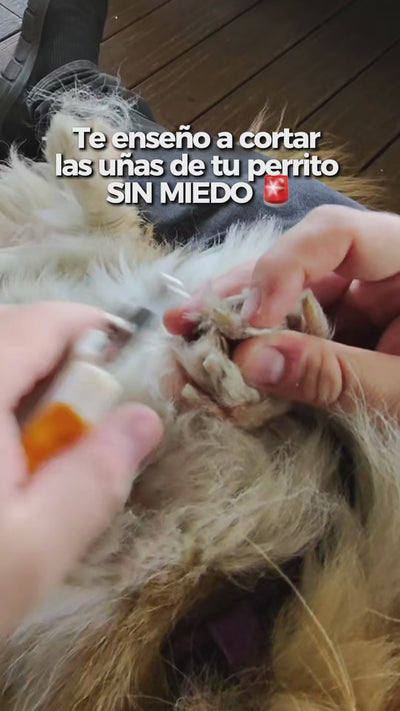 Video 1