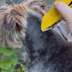 Cortapelos Inalámbrico para Perros y Gatos | LILIPROPET PT305