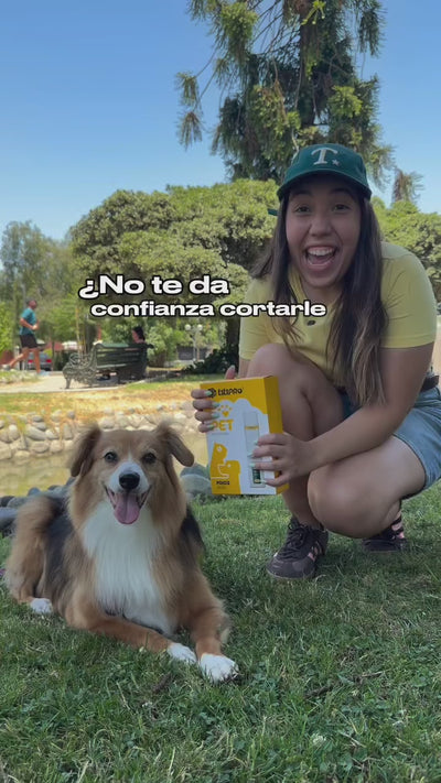 Video 3