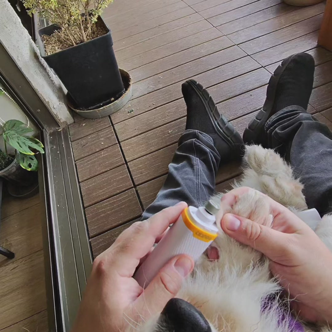 Lima de Uñas Recargable con luz + Tijera + 3 puntas adiamantadas para perro  | LILIPROPET PG102
